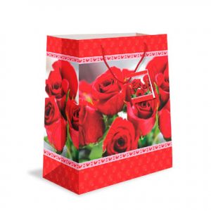 Bolsas de regalo