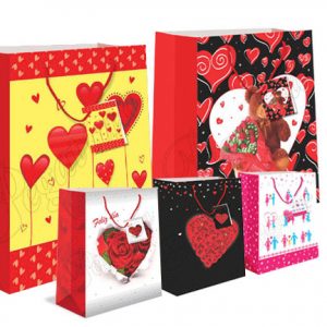 Bolsas de regalo S
