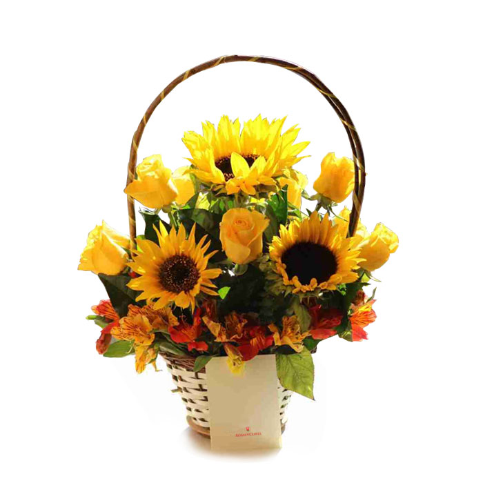 Canasta floral con girasoles, rosas y astromelias