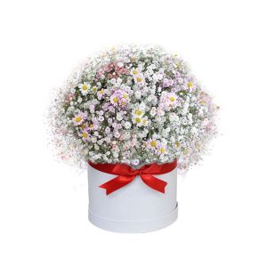 Box con Gypsophila