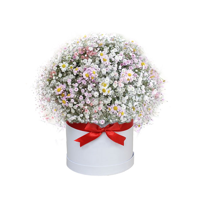 Box con Gypsophila