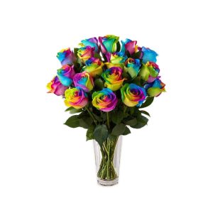 Rosas arcoíris multicolor