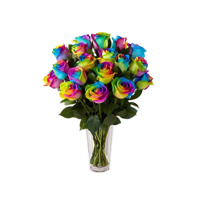 Rosas arcoíris multicolor