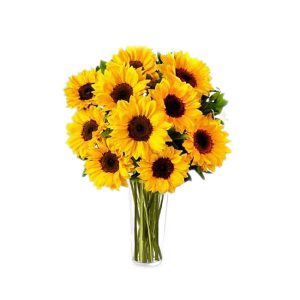 Girasoles en florero de vidrio.