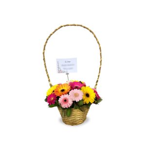 Gerberas en canasta
