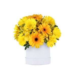 Box de gerberas y astromelias