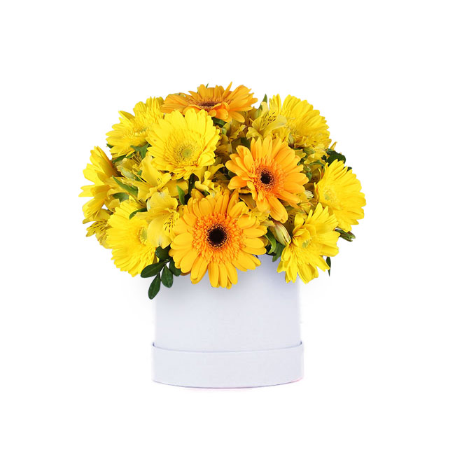 Box de gerberas y astromelias