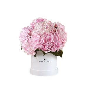 Arreglo de hortensias