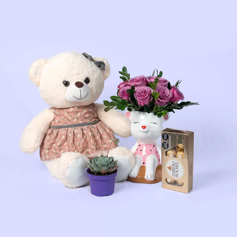 Osita de peluche con bombones y suculentas