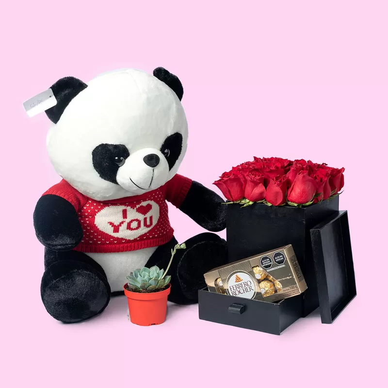 Oso Panda con rosas, box y suculentas para el amor y la amistad