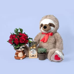 Pack oso perezoso, Florería en Lima