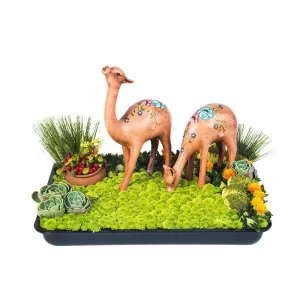 Arreglo floral dúo de vicuñas. Flores a domicilio Lima