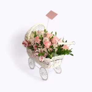 Cuna primaveral