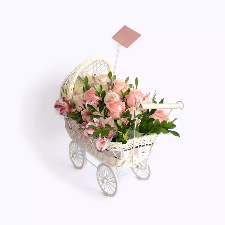 Cuna primaveral